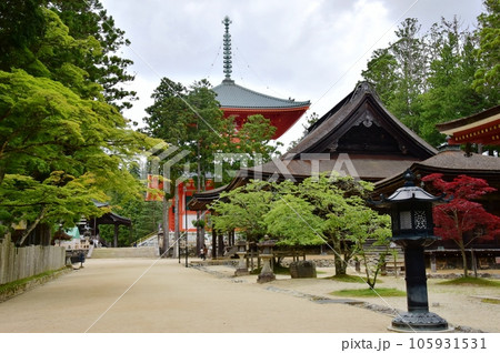 和歌山県 高野山壇上伽藍の参道と新緑 和歌山県 高野山壇上伽藍の参道と新緑 105931531
