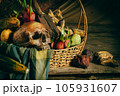 Human skulls and fruit in the basket, wood and old vases on wood, still life concepts 105931607