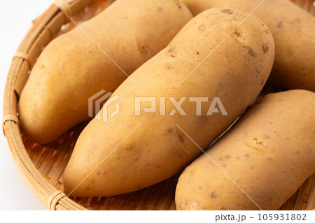 メークインジャガイモ 105931802