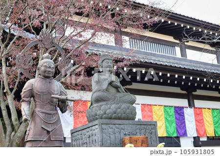 鎌倉 長谷寺 鎌倉 長谷寺 105931805
