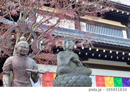 鎌倉 長谷寺 105931810