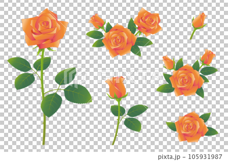 玫瑰花橙色插圖集圖標集 105931987