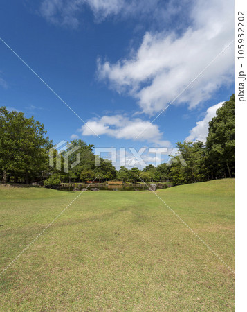夏の奈良公園春日野園地と三社託宣池 夏の奈良公園春日野園地と三社託宣池 105932202