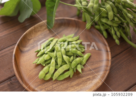 夏に美味しい枝豆 夏に美味しい枝豆 105932209