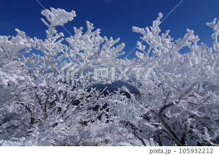 【真冬の芸術品】御在所岳の樹氷・三重県菰野町 【真冬の芸術品】御在所岳の樹氷・三重県菰野町 105932212