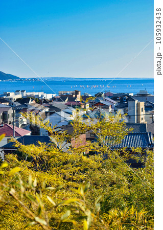 長谷寺からの冬の絶景（神奈川県鎌倉市） 105932438