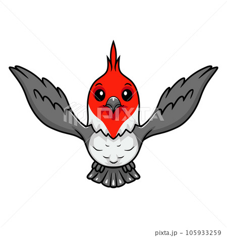 Cute red crested cardinal bird cartoon Cute red crested cardinal bird cartoon 105933259
