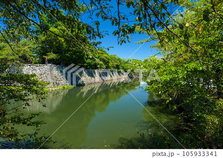 夏の彦根城の外堀 滋賀県彦根市 夏の彦根城の外堀 滋賀県彦根市 105933341