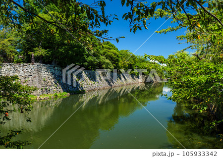 夏の彦根城の外堀 滋賀県彦根市 夏の彦根城の外堀 滋賀県彦根市 105933342