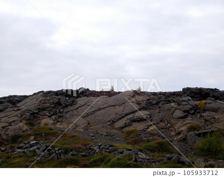 アイスランド　夏　グリッタギャウ　アイスランドシープ 105933712