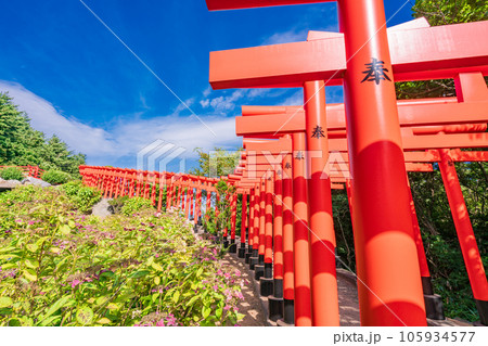 (青森県つがる市)高山稲荷神社 千本鳥居 (青森県つがる市)高山稲荷神社 千本鳥居 105934577