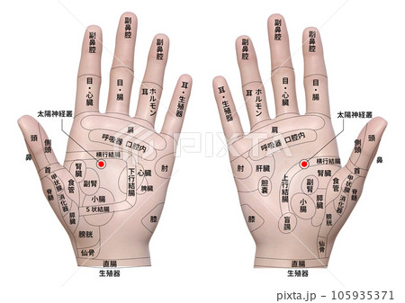 ツボ 腰痛に効果的なツボってあるの？手のツボを使って腰痛にアプローチする