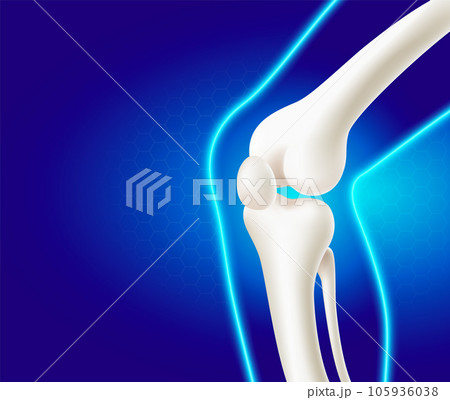 Leg bone and knee joint, side view medical use 105936038