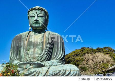 高徳院 鎌倉大仏(神奈川県鎌倉市) 高徳院 鎌倉大仏(神奈川県鎌倉市) 105936055