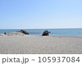 桂浜の風景3 105937084
