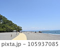 桂浜の風景4 105937085