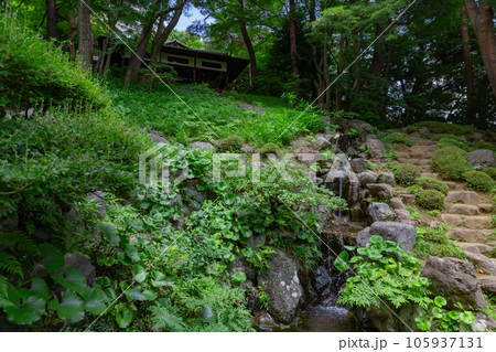 殿ヶ谷戸庭園の次郎弁天池 殿ヶ谷戸庭園の次郎弁天池 105937131