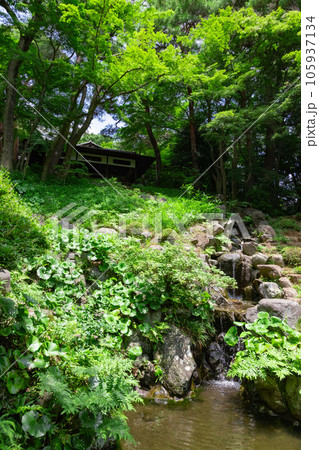 殿ヶ谷戸庭園の次郎弁天池 殿ヶ谷戸庭園の次郎弁天池 105937134
