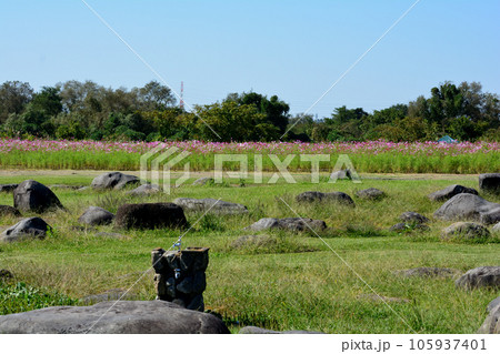 鬼怒グリーンパークへ行きました #59 鬼怒グリーンパークへ行きました #59 105937401