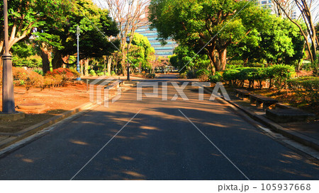 国会前庭 南庭(東京都千代田区永田町)の風景 国会前庭 南庭(東京都千代田区永田町)の風景 105937668