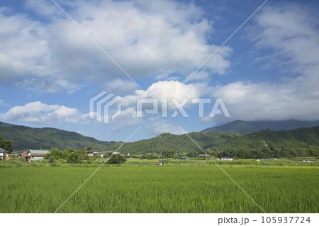 京都五山送り火　嵯峨野の田園風景と嵯峨鳥居本の曼荼羅山1 105937724