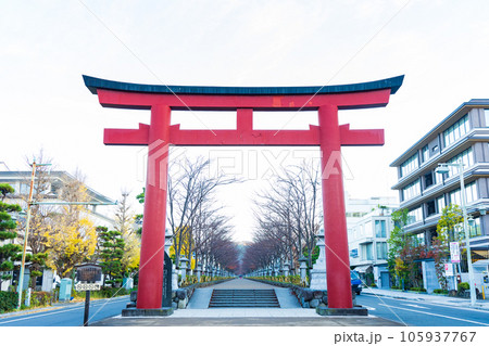 晩秋の古都鎌倉 紅葉の鶴岡八幡宮 二の鳥居と段葛(参道) 晩秋の古都鎌倉 紅葉の鶴岡八幡宮 二の鳥居と段葛(参道) 105937767