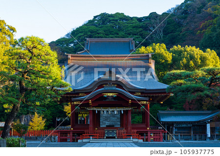 晩秋の古都鎌倉　紅葉の鶴岡八幡宮　舞殿 105937775