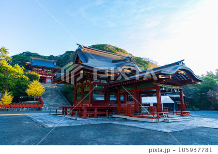 晩秋の古都鎌倉　紅葉の鶴岡八幡宮　舞殿・本宮（上宮） 105937781