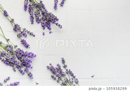 Fresh lavender flowers on a white tile background. 105938299