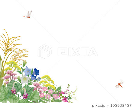 水彩手書きの秋の七草 105938457