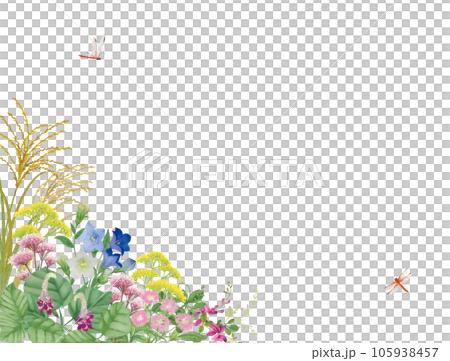 水彩手書きの秋の七草 105938457