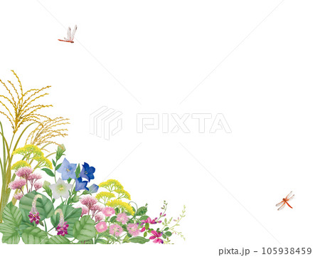 水彩手書きの秋の七草 水彩手書きの秋の七草 105938459