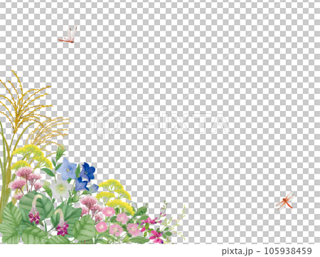 水彩手書きの秋の七草 水彩手書きの秋の七草 105938459