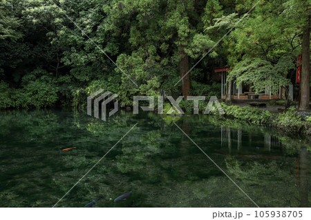 出流原弁天池 105938705