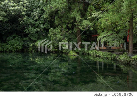 出流原弁天池 105938706