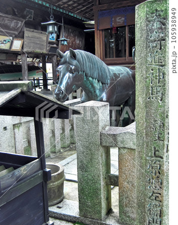 琴平町　金刀比羅宮　神馬 105938949