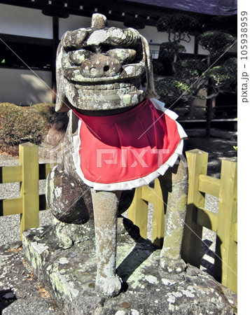 徳島市　大麻比古神社　狛犬 105938959