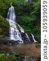 秋芳白糸の滝 105939059