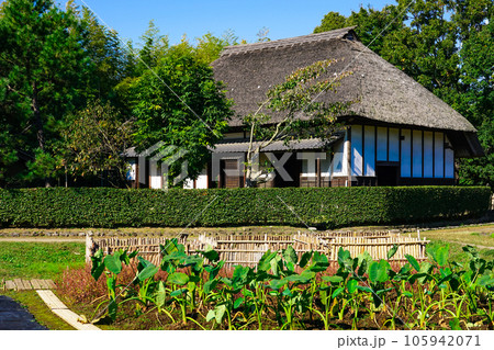 旧野口家住宅 浦和くらしの博物館民家園 旧野口家住宅 浦和くらしの博物館民家園 105942071