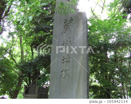 蕨城　　　　（埼玉県蕨市） 105942114