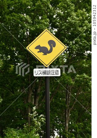 リス横断注意の看板 105942312