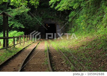新緑の中ひっそりと眠る佐渡金山の史跡(トロッコ鉱物輸送用トロッコ廃線群) 105942686