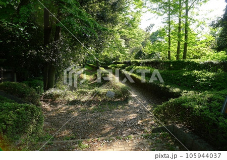 赤山陣屋跡 (埼玉県川口市) 赤山陣屋跡 (埼玉県川口市) 105944037