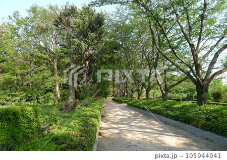 赤山陣屋跡　　（埼玉県川口市） 105944041