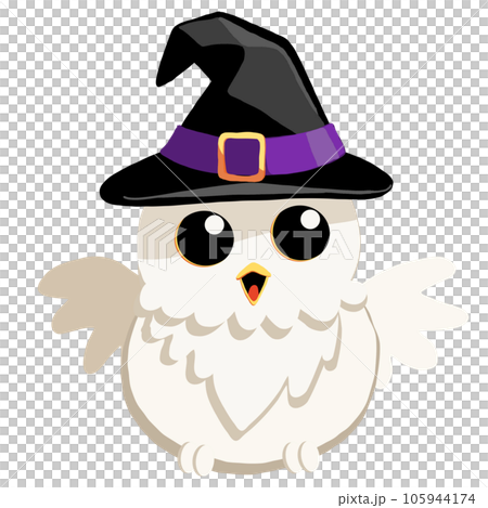 owl with hat owl with hat 105944174