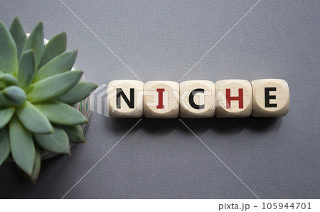 Niche symbol. Concept word Niche on wooden cubes. Beautiful grey background with succulent plant. Business and Niche concept. Copy space. 105944701