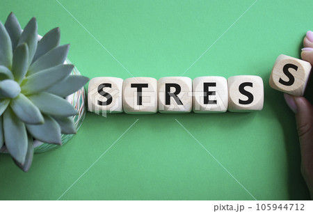 Stress symbol. Concept word Stress on wooden cubes. Businessman hand. Beautiful green background with succulent plant. Medicine and Stress concept. Copy space. 105944712