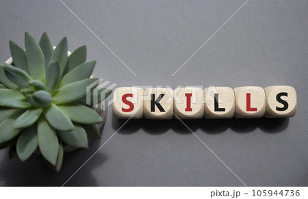 Skills symbol. Concept word Skills on wooden cubes. Beautiful grey background with succulent plant. Business and Skills concept. Copy space. 105944736