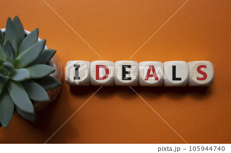 Ideals symbol. Wooden blocks with word Ideals. Beautiful orange background with succulent plant. Business and Ideals concept. Copy space. 105944740