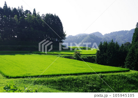 大分県竹田市の田舎の風景 大分県竹田市の田舎の風景 105945105